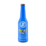 Refresco Blueberry Joy 355ml