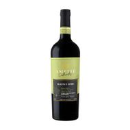 Vinho Amitié Colheita De Outono Tinto Seco 750 Ml
