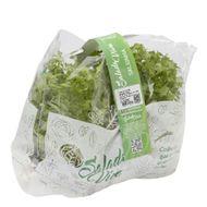 Salada De Salsinha Viva