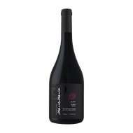 Vinho Glória Tinto Seco Syrah 750 Ml