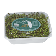Broto Mix Biomas 120g