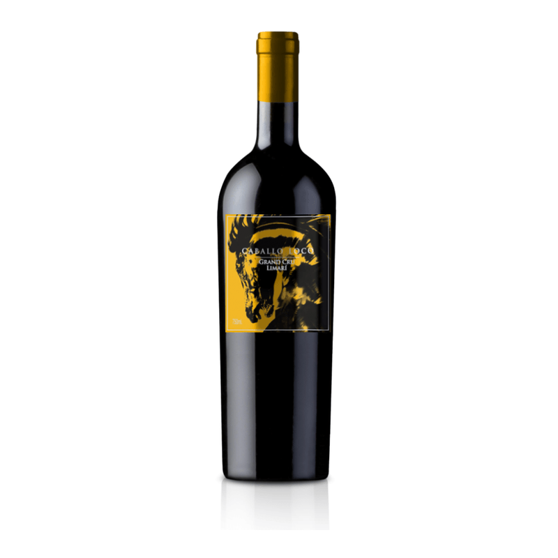 Vinho-Chileno-Caballo-Loco-Limari-Tinto-750-Ml