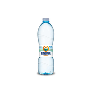 Agua Mineral Natural Lindoya Verao 1,5l