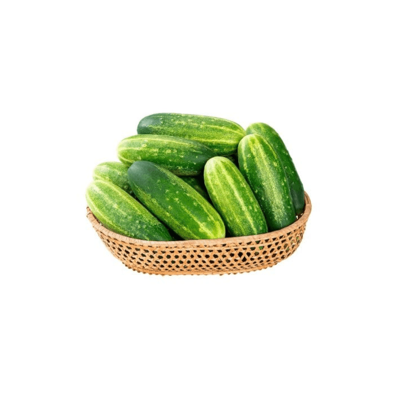 Pepino-Caipira-Extra