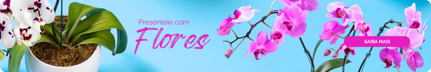 Banner Destaque Full